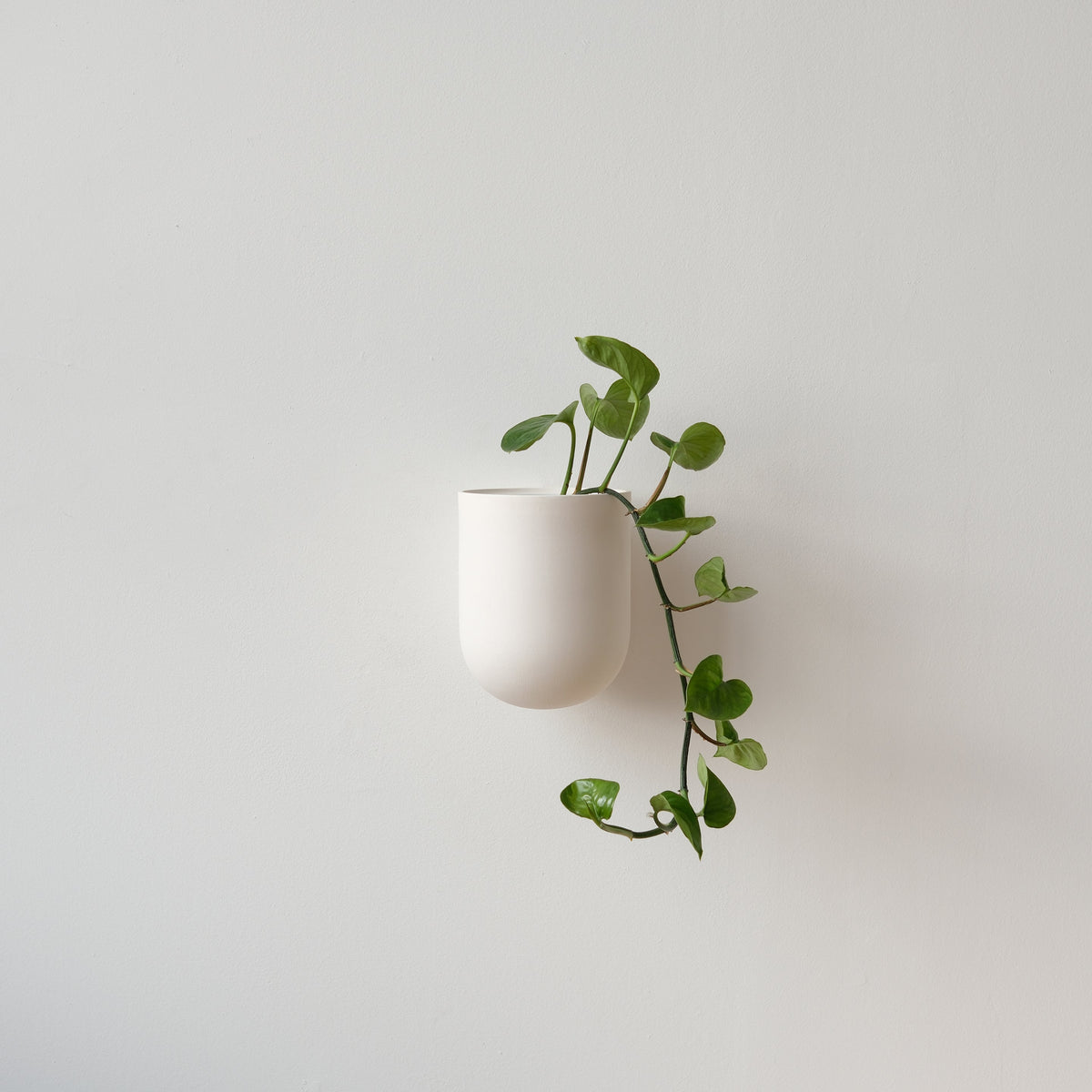 Bender Wall Planter — view 7