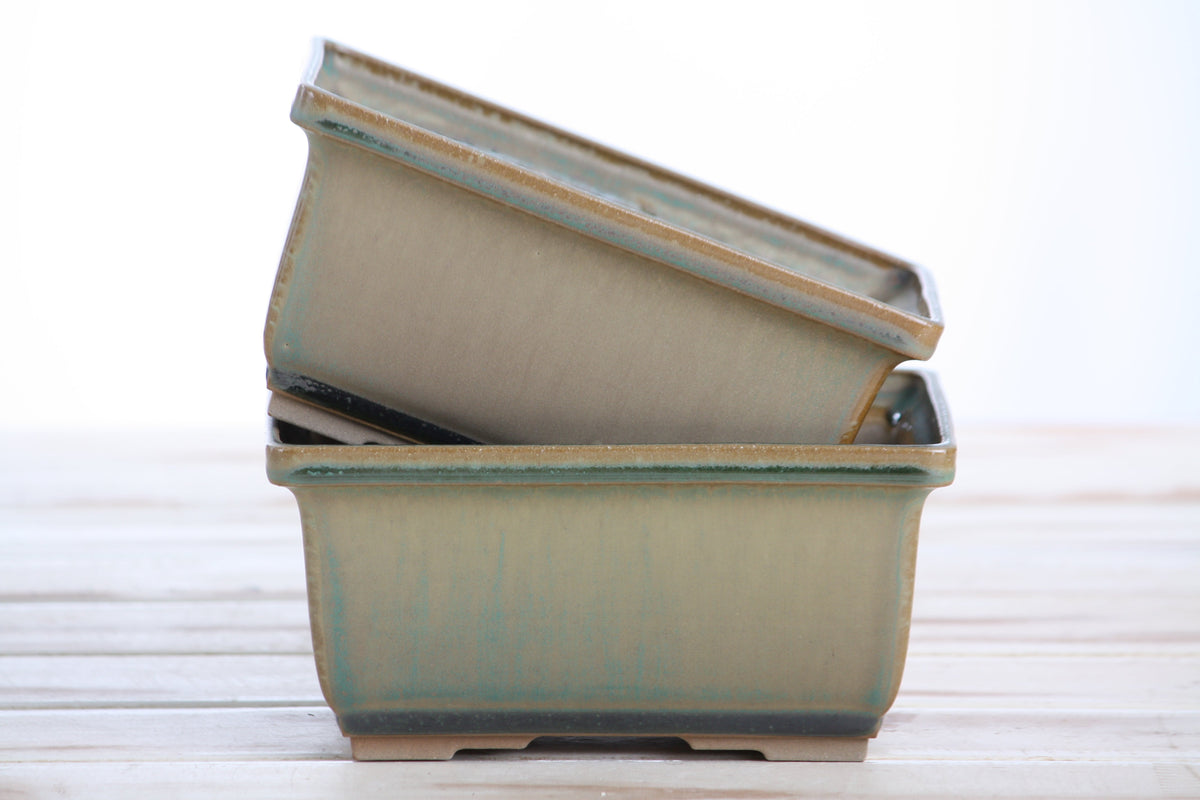 Rectangular ceramic bonsai pot with speckled moss texture, light beige color with turquoise accents, placed on wooden surface against a light background