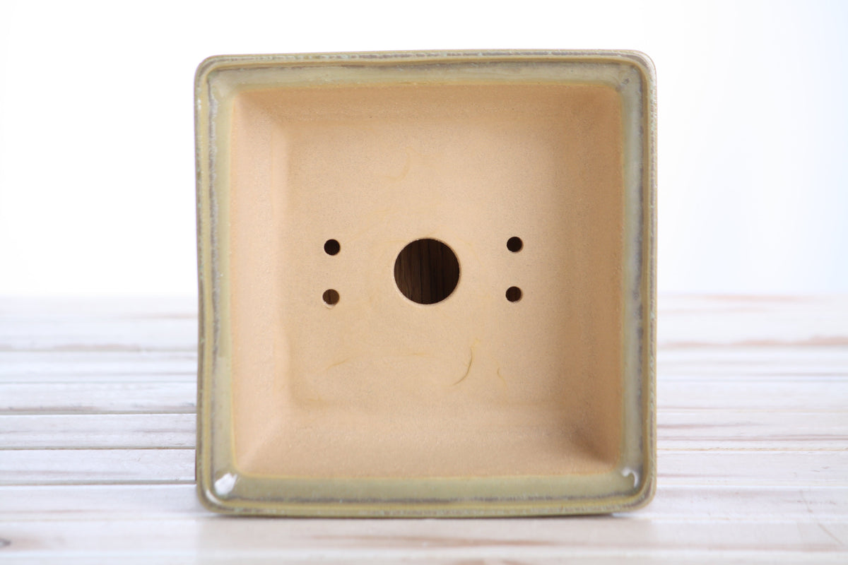 Square ceramic bonsai pot 6 inch Copenhagen with a smooth interior and drainage holes, placed on a light wooden surface