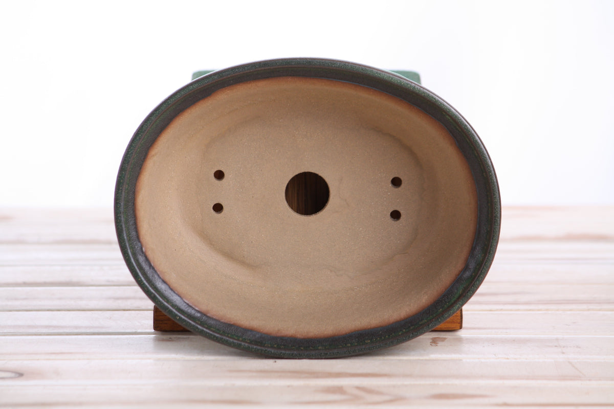Oval ceramic bonsai pot with green rim and beige interior