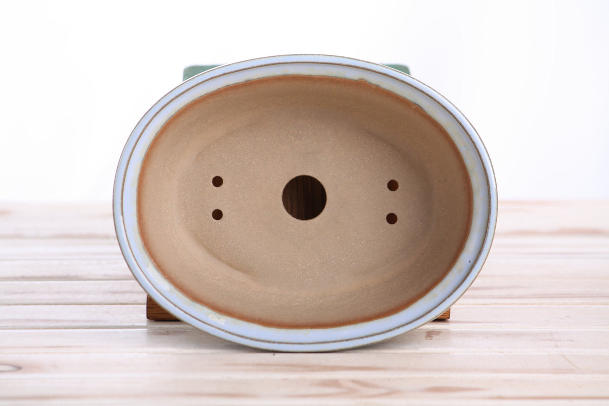 White oval ceramic bonsai pot on wooden stand, visible drainage holes
