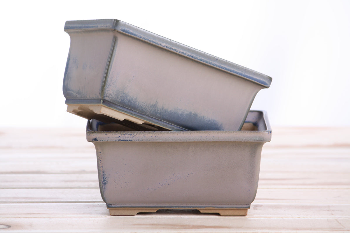 Two rectangular ceramic bonsai pots in a rustic blue wash, placed on a light wooden surface.