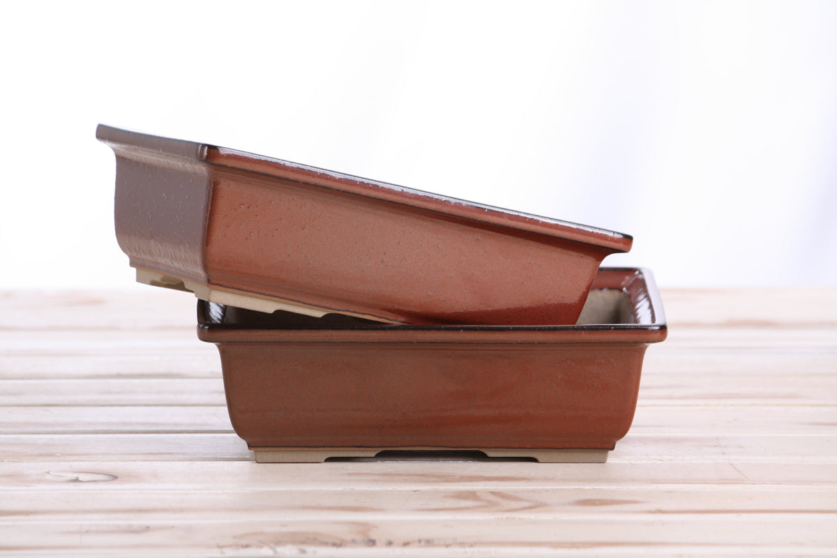 Two terracotta rectangular bonsai pots with glossy finish, one larger than the other on a wooden surface.