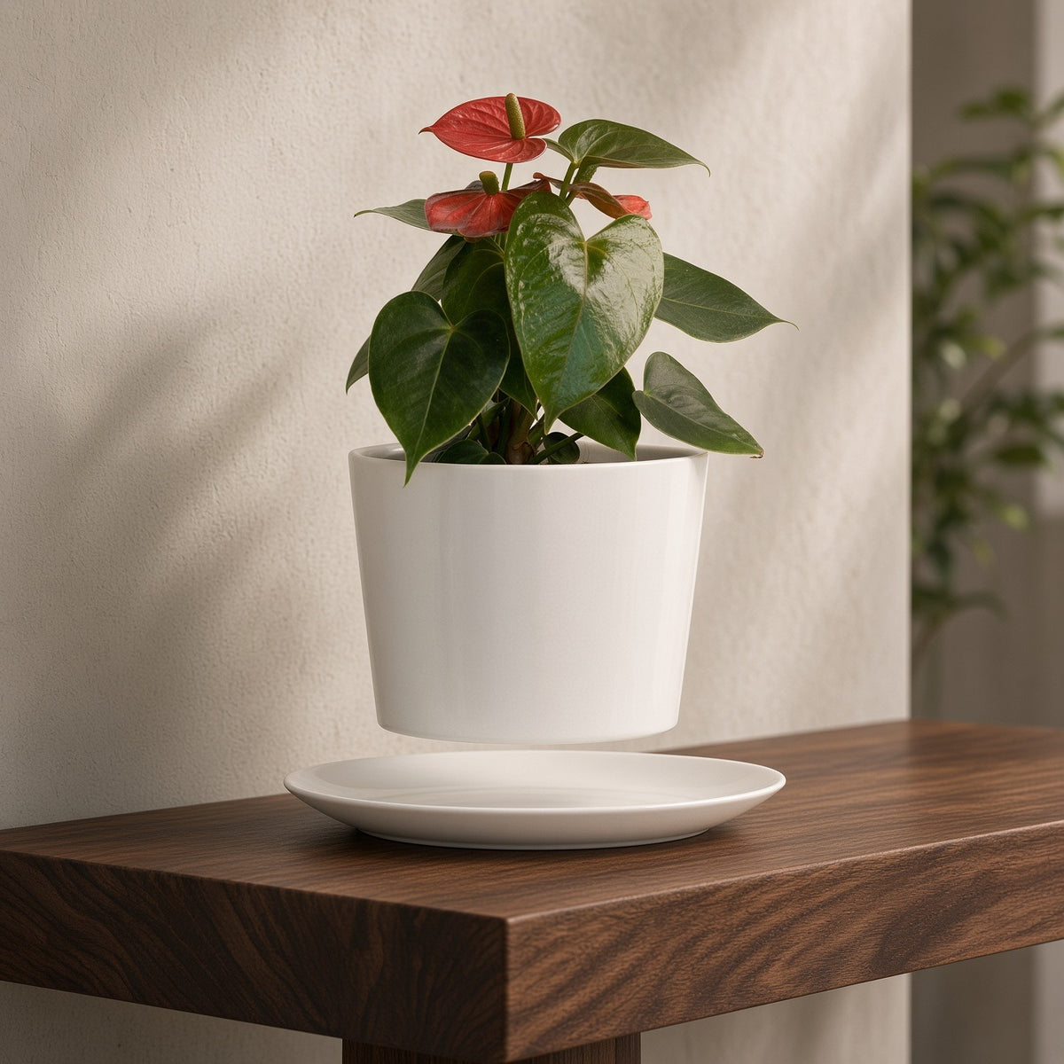 ShopInFill staged scene — geometric-oval-handmade-porcelain-planter