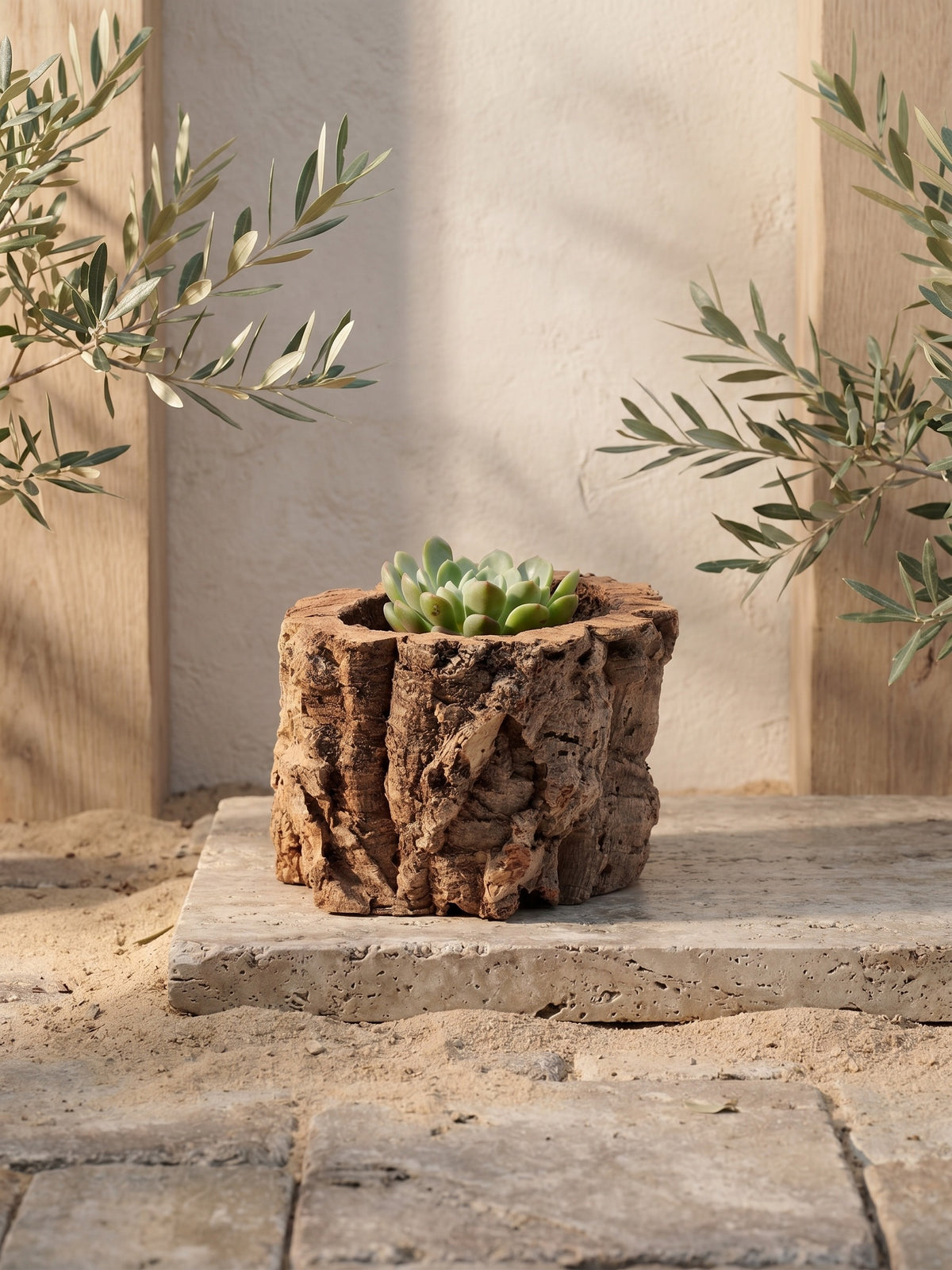 Natural Cork Bark Planter