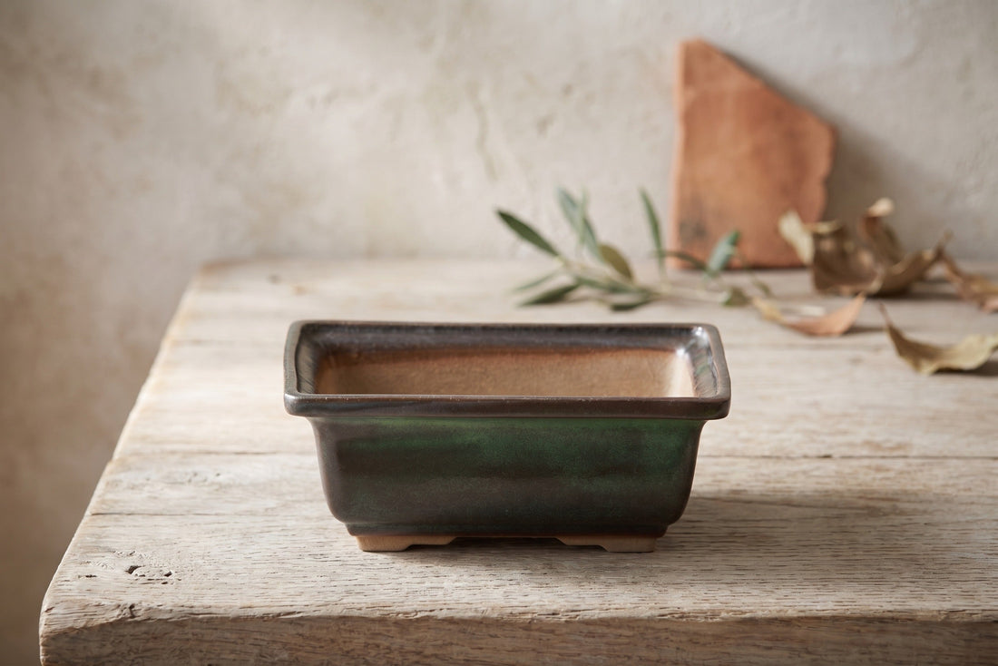 Caring for Unglazed Stoneware: A Guide for Bonsai Pots and Planters