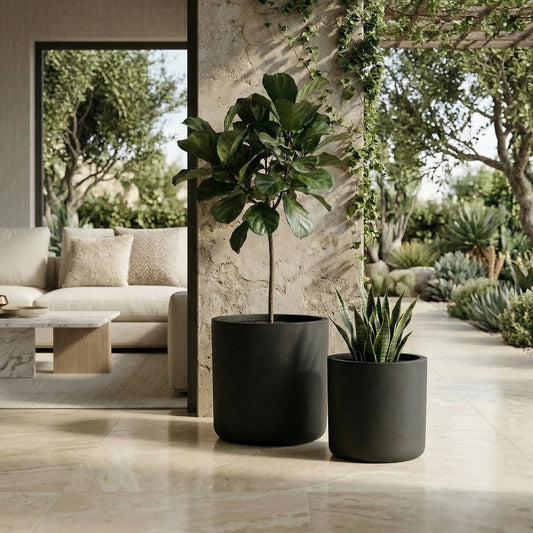Two black matte finish concrete planters, each with a single plant, placed on a stone patio near a sofa and coffee table.