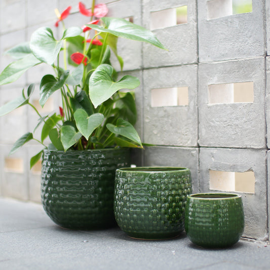 Set of three dark green glazed ceramic planters, textured surface, with a red-lowered plant in the largest one, grey block wall background.