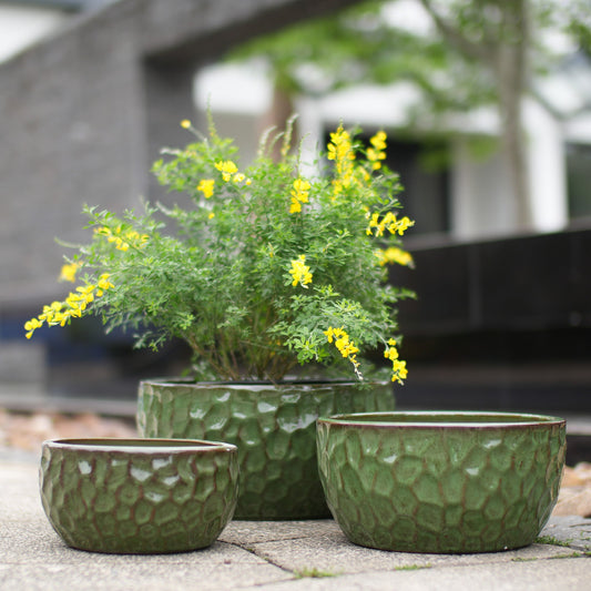 Green ceramic planter set of 3 with textured pattern, holding a flowering plant, outdoor setting.