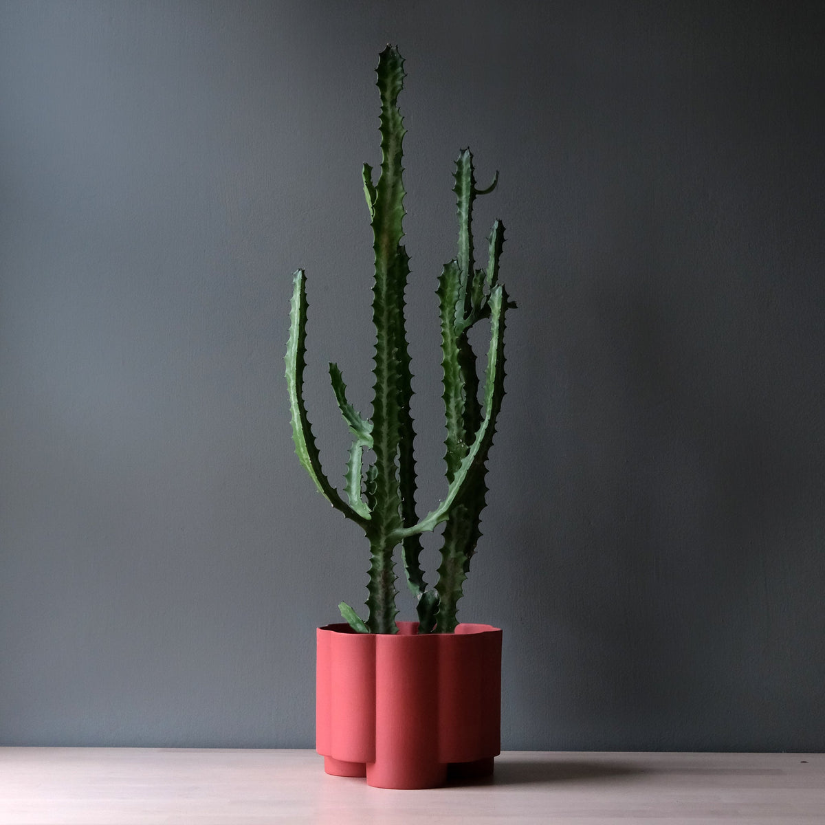 Pillar Planter — view 7