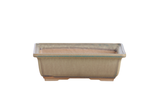 Rectangular ceramic bonsai pot 8 inch Speckled Moss