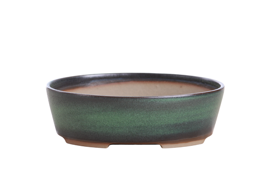 Oval ceramic bonsai pot 8 inch Avocado