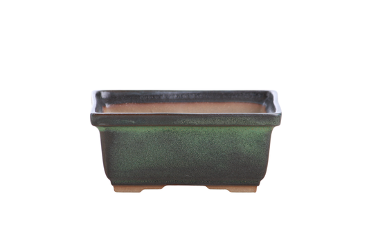 Rectangular ceramic bonsai pot 5 inch Avocado