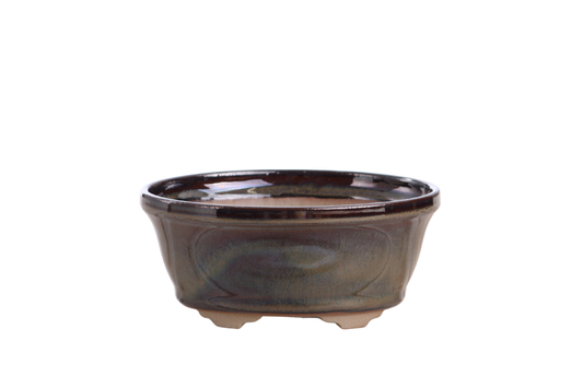 Oval ceramic bonsai pot 5.5 inch Dark Honey