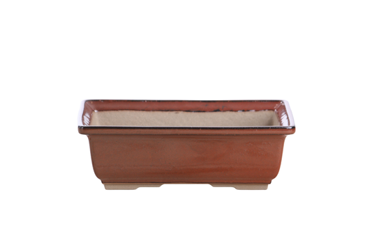 Rectangular ceramic bonsai pot 8 inch Sunset