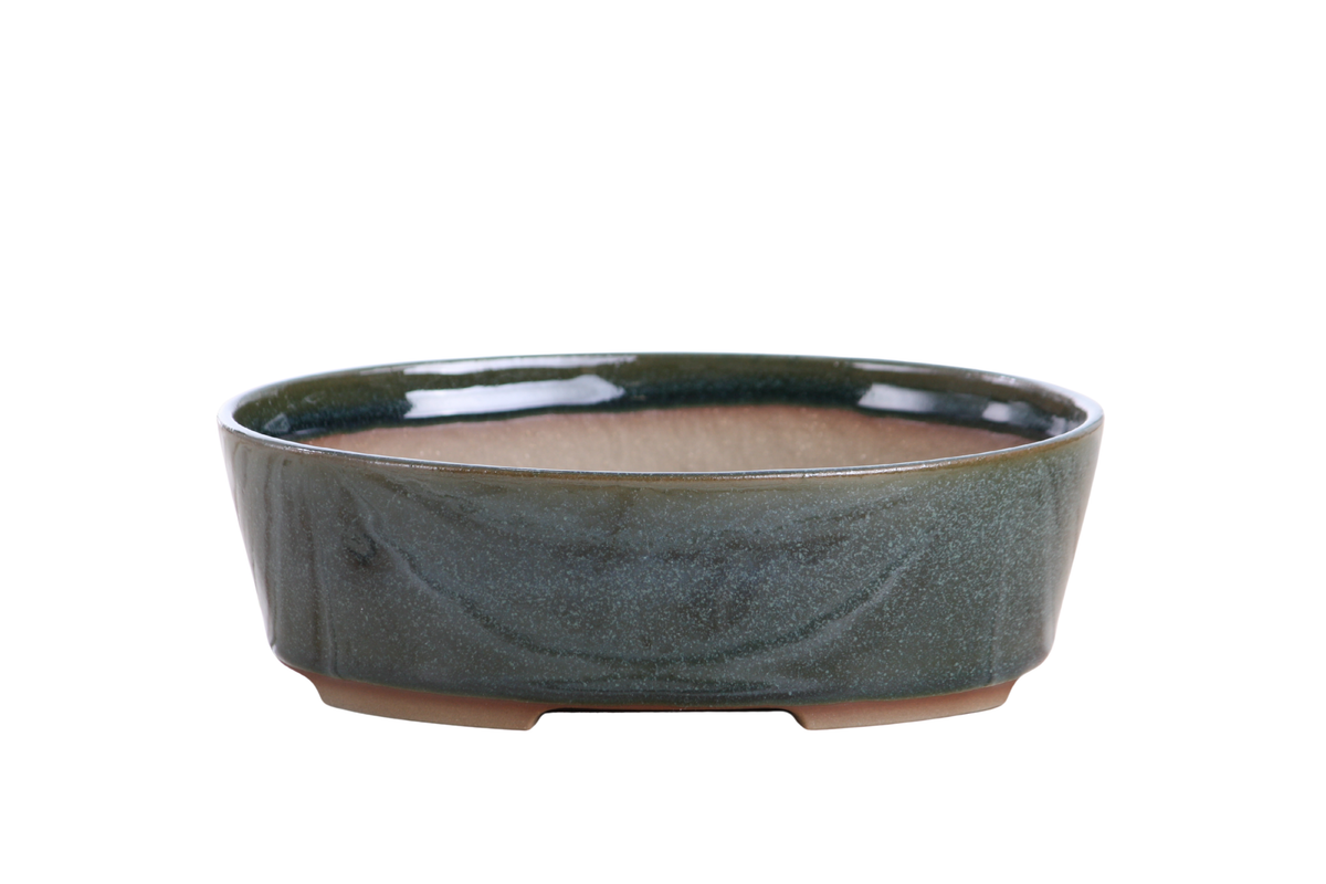 Oval ceramic bonsai pot 8 inch Seaweed 2025