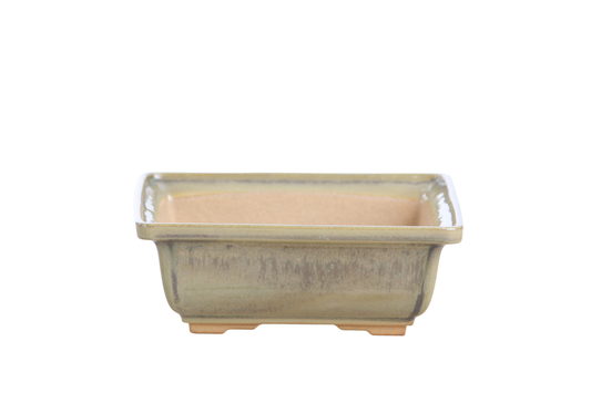 Square ceramic bonsai pot 6 inch Copenhagen