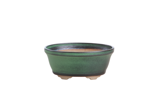 Oval ceramic bonsai pot 5.5 inch Avocado