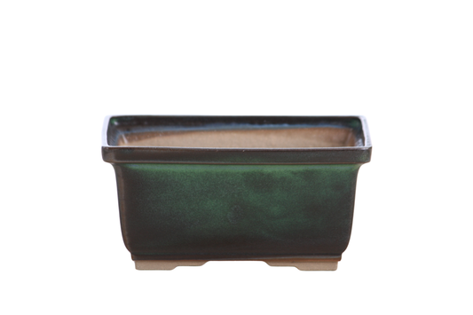 Rectangular ceramic bonsai pot 6 inch Avocado