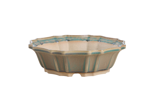 Ceramic bonsai pot 10 inch Speckled Moss