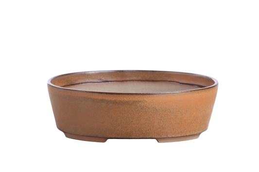 Oval ceramic bonsai pot 8 inch Deep Stone