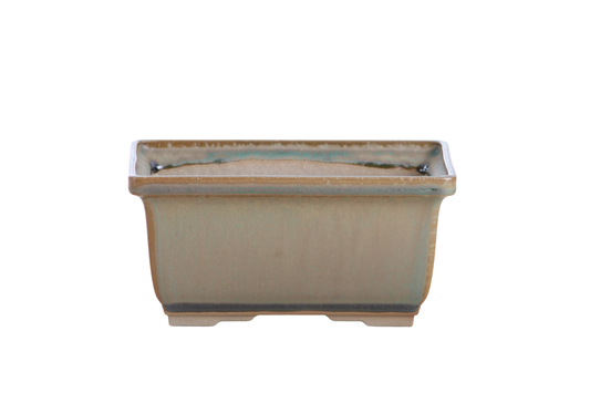 Rectangular ceramic bonsai pot 6 inch Speckled Moss