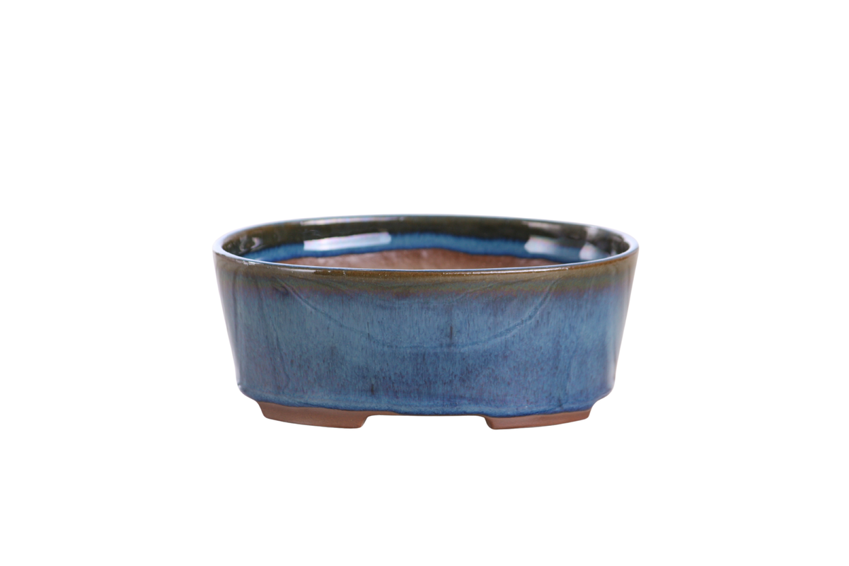 Oval ceramic bonsai pot 5 inch Peacock — Straight-Sided