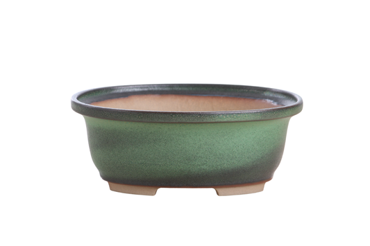 Oval ceramic bonsai pot 7.5 inch Avocado