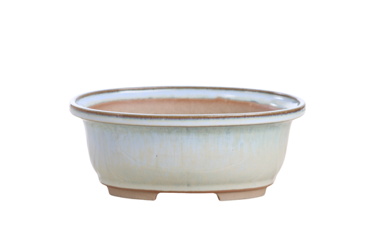 Oval ceramic bonsai pot 7.5 inch Glacier