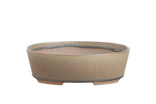 Oval ceramic bonsai pot 8 inch Speckled Moss