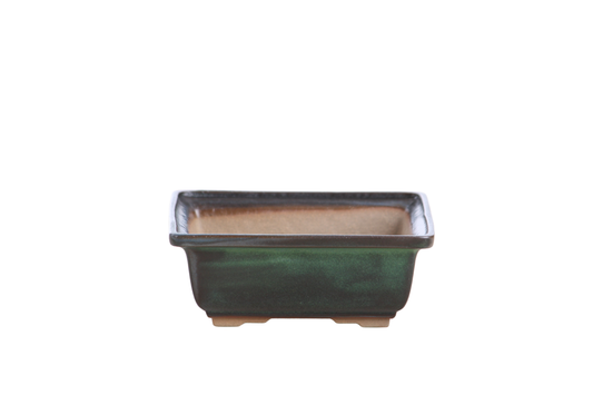 Square ceramic bonsai pot 5 inch Avocado