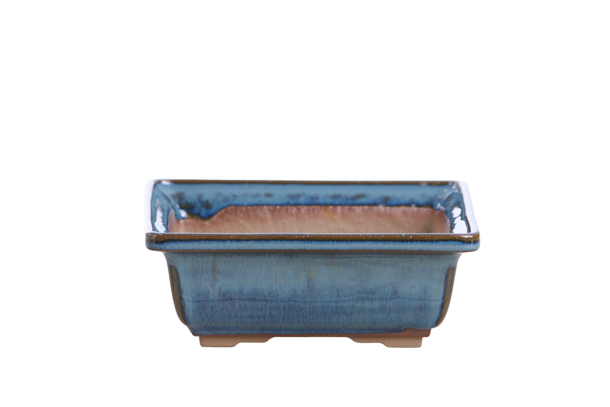 Square ceramic bonsai pot 6 inch Peacock 2025
