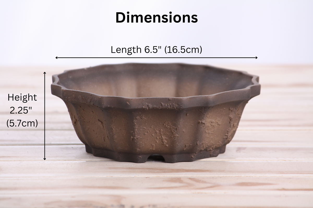 Ceramic bonsai pot 6.5 inch Limited Edition Textured Unglazed 6.5 inch — view 4