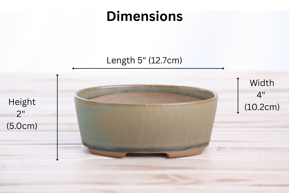 Oval ceramic bonsai pot 5 inch Speckled Moss — view 4
