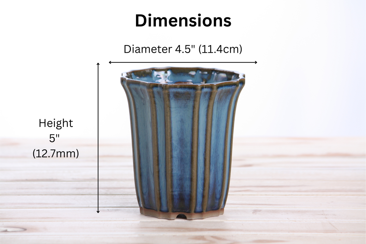 Cascade ceramic bonsai pot 4.5 inch Peacock 2025 — view 4