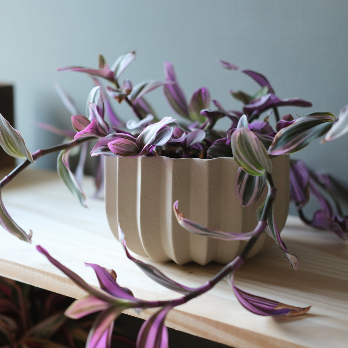 Wrap Planter - 4 sizes — view 7
