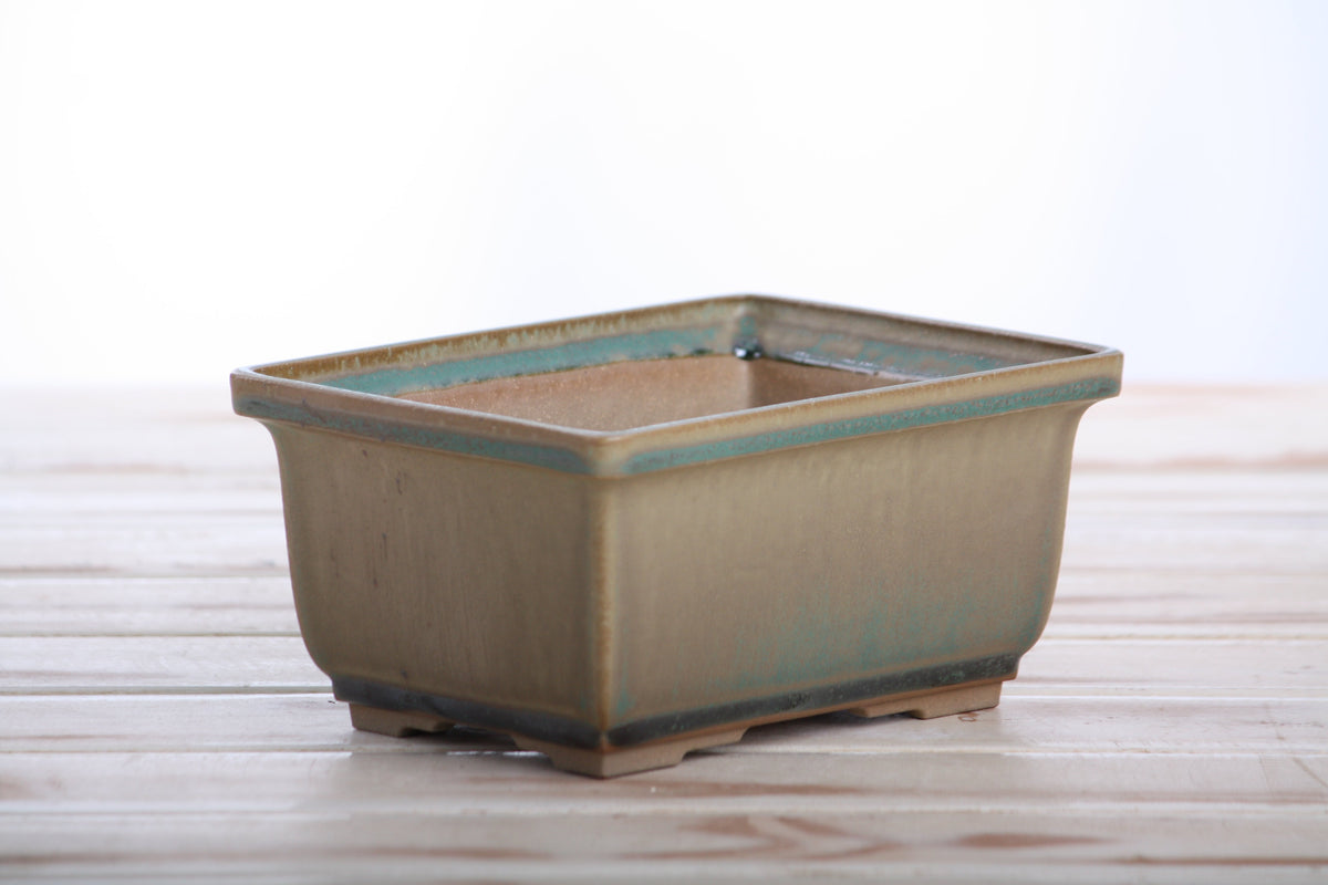 Rectangular ceramic bonsai pot 6 inch Speckled Moss — view 3
