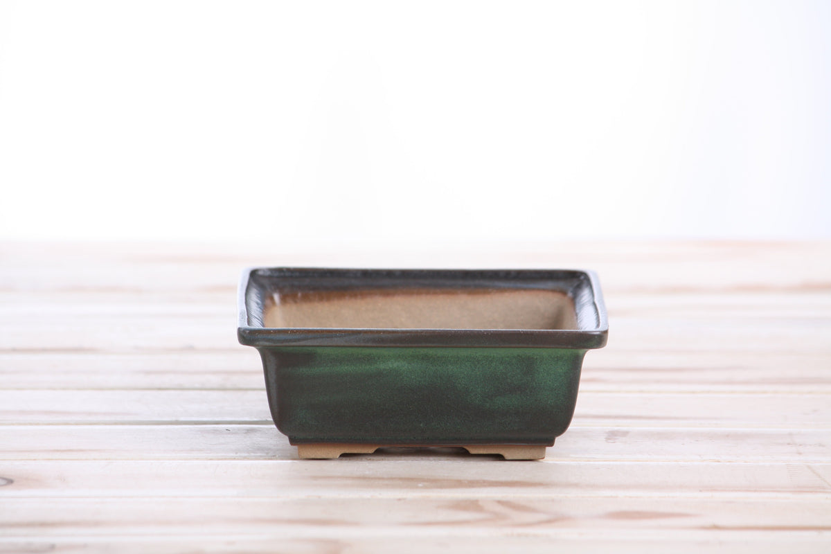Square ceramic bonsai pot 5 inch Avocado — view 2