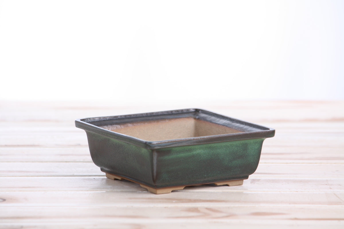 Square ceramic bonsai pot 5 inch Avocado — view 3