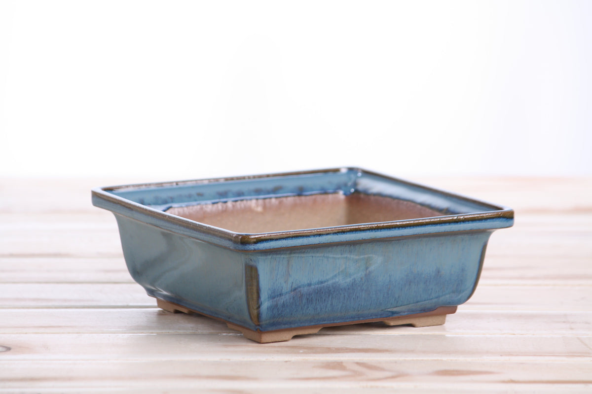 Square ceramic bonsai pot 6 inch Peacock 2025 — view 4