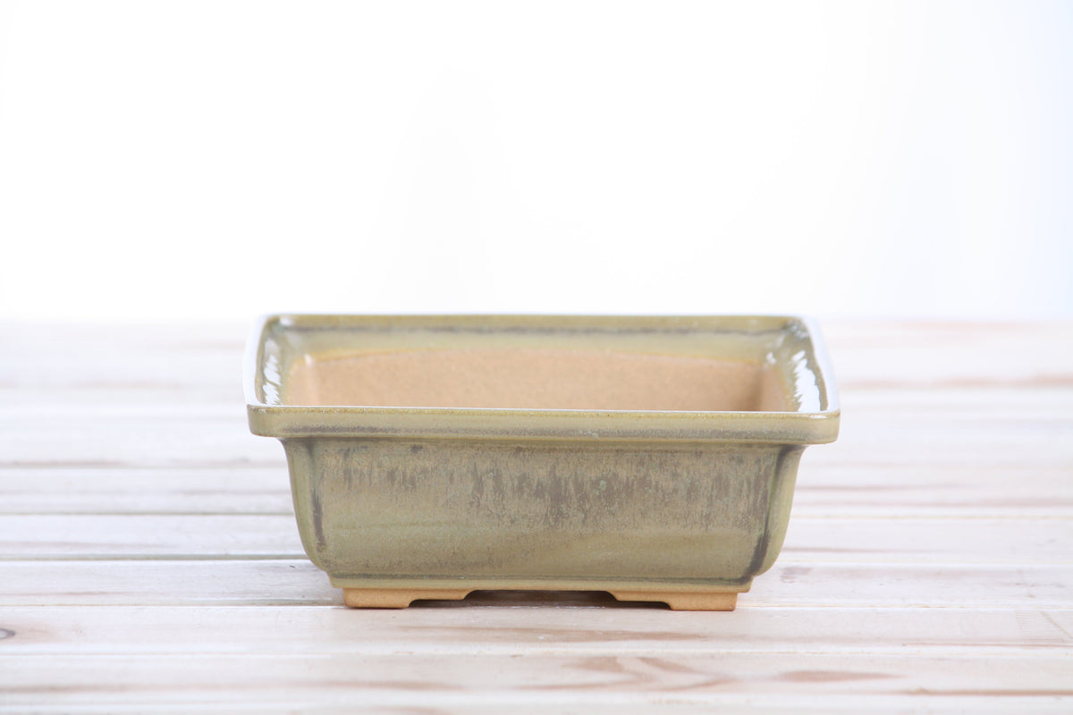 Square ceramic bonsai pot 6 inch Copenhagen — view 2