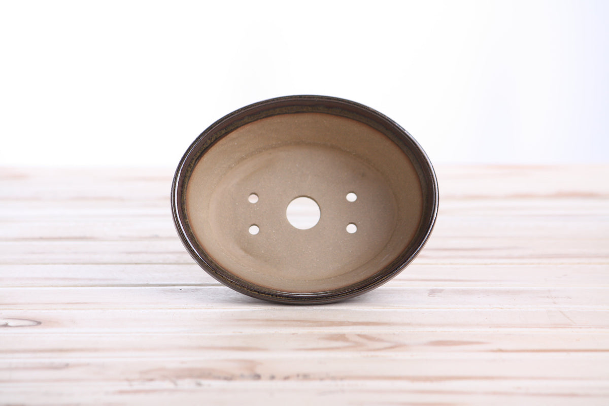 Oval ceramic bonsai pot 5.5 inch Dark Honey — view 5