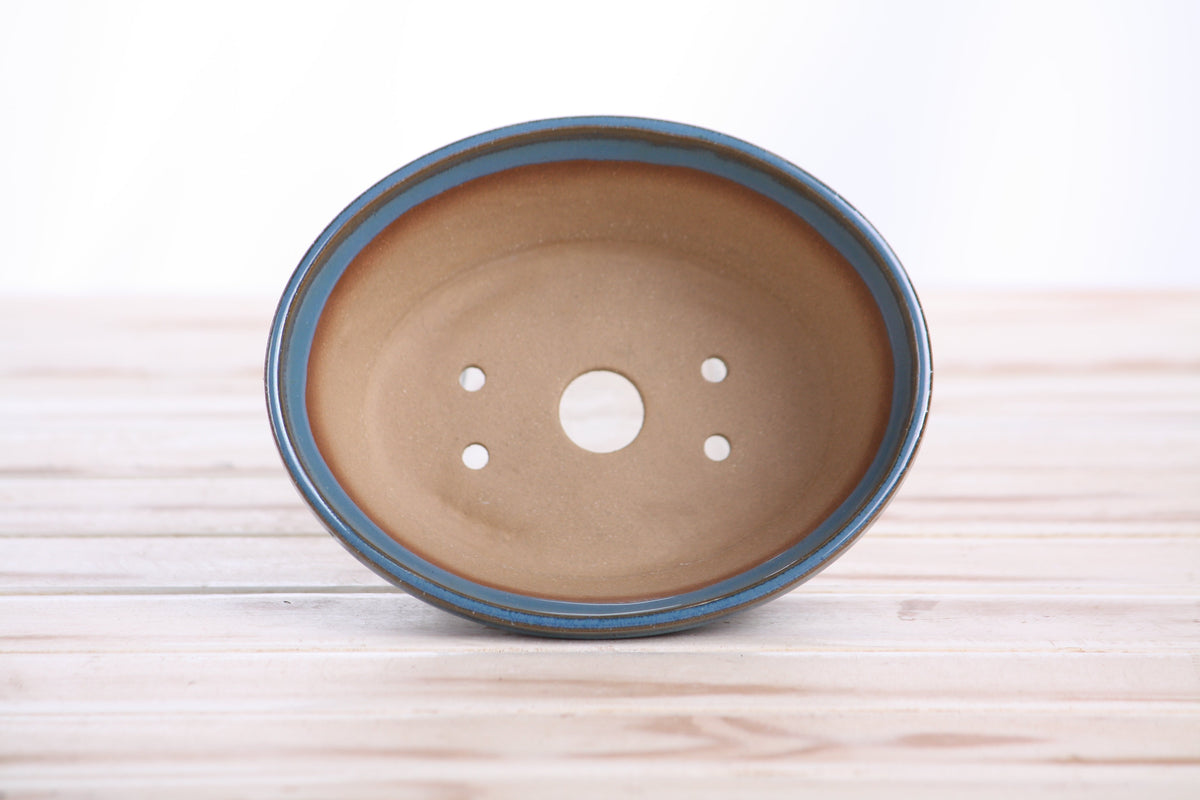 Oval ceramic bonsai pot 5.5 inch Peacock — view 5