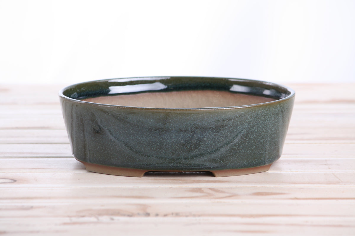 Oval ceramic bonsai pot 8 inch Seaweed 2025 — view 2