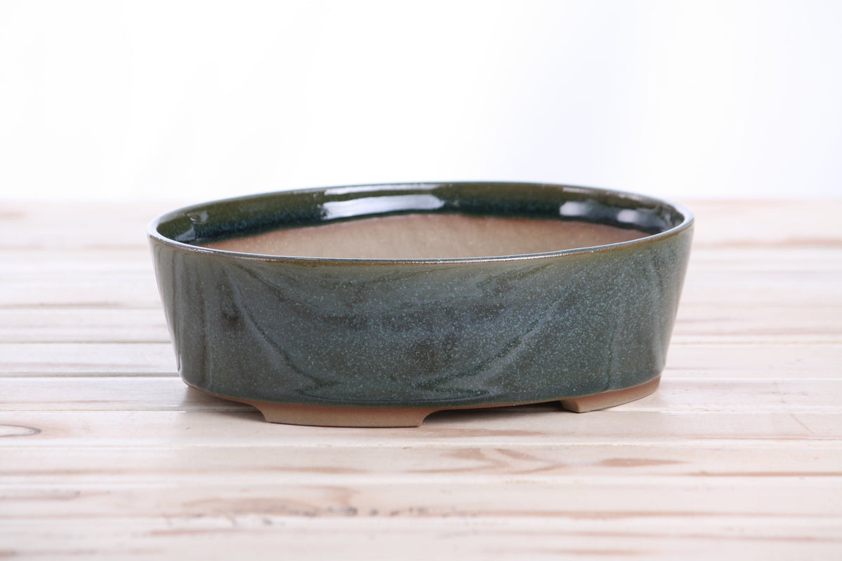 Oval ceramic bonsai pot 8 inch Seaweed 2025 — view 3