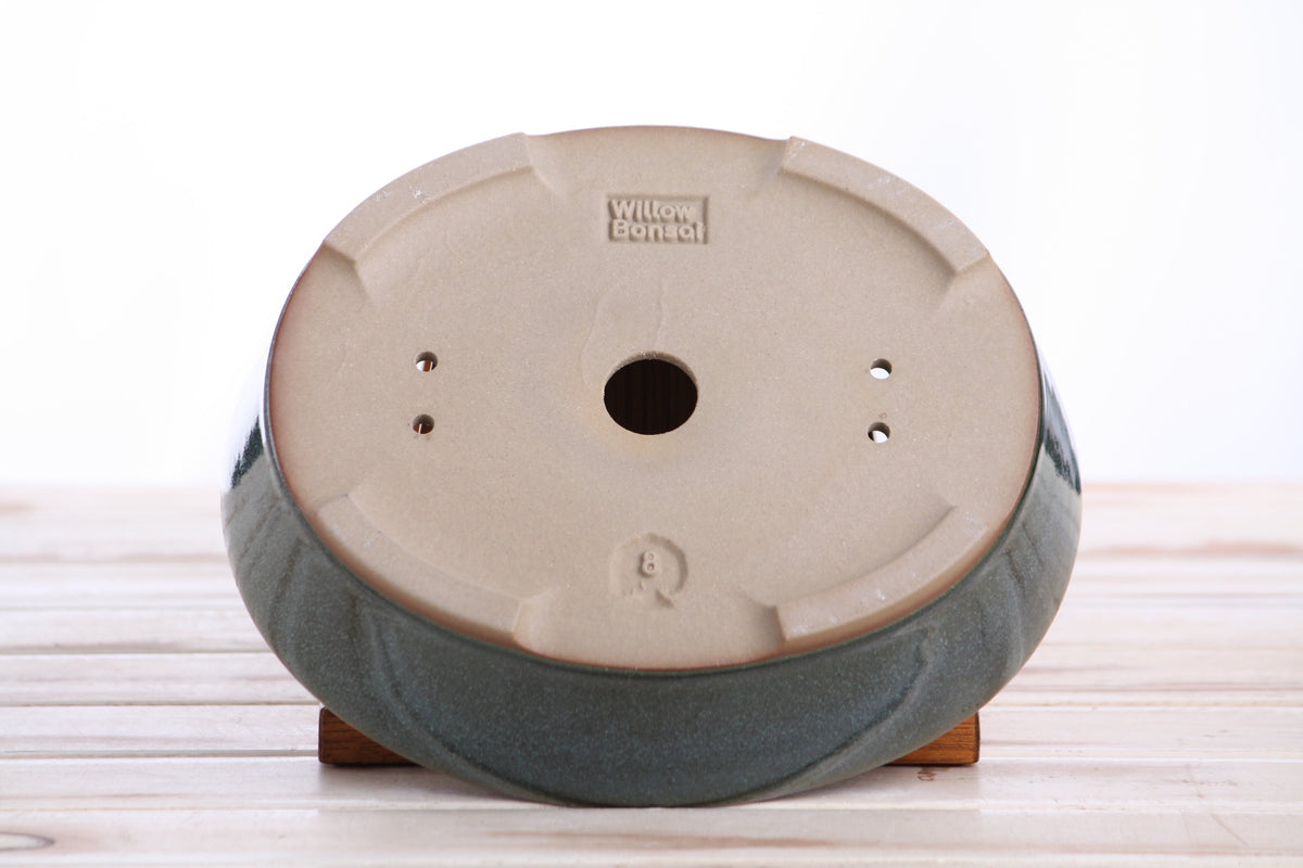 Oval ceramic bonsai pot 8 inch Seaweed 2025 — view 6