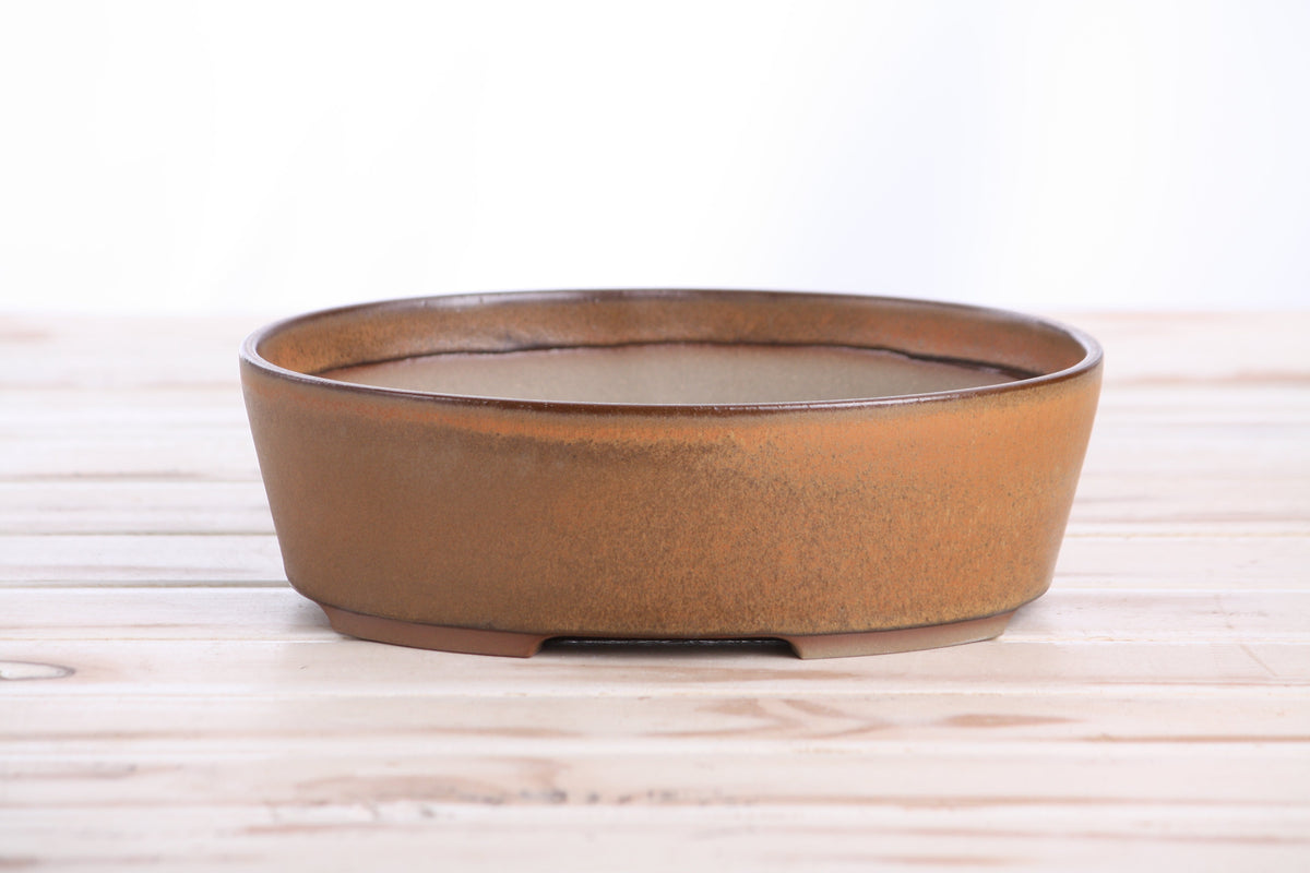 Oval ceramic bonsai pot 8 inch Deep Stone — view 2