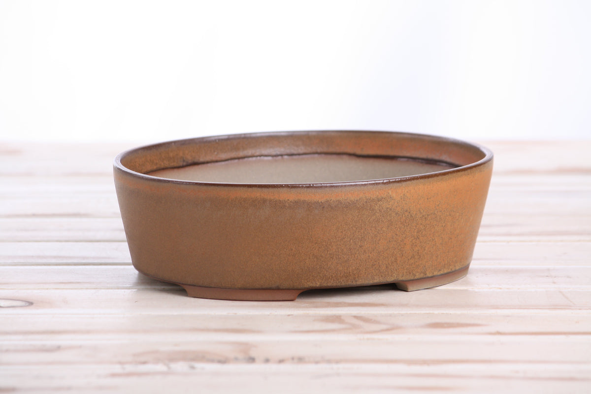 Oval ceramic bonsai pot 8 inch Deep Stone — view 3