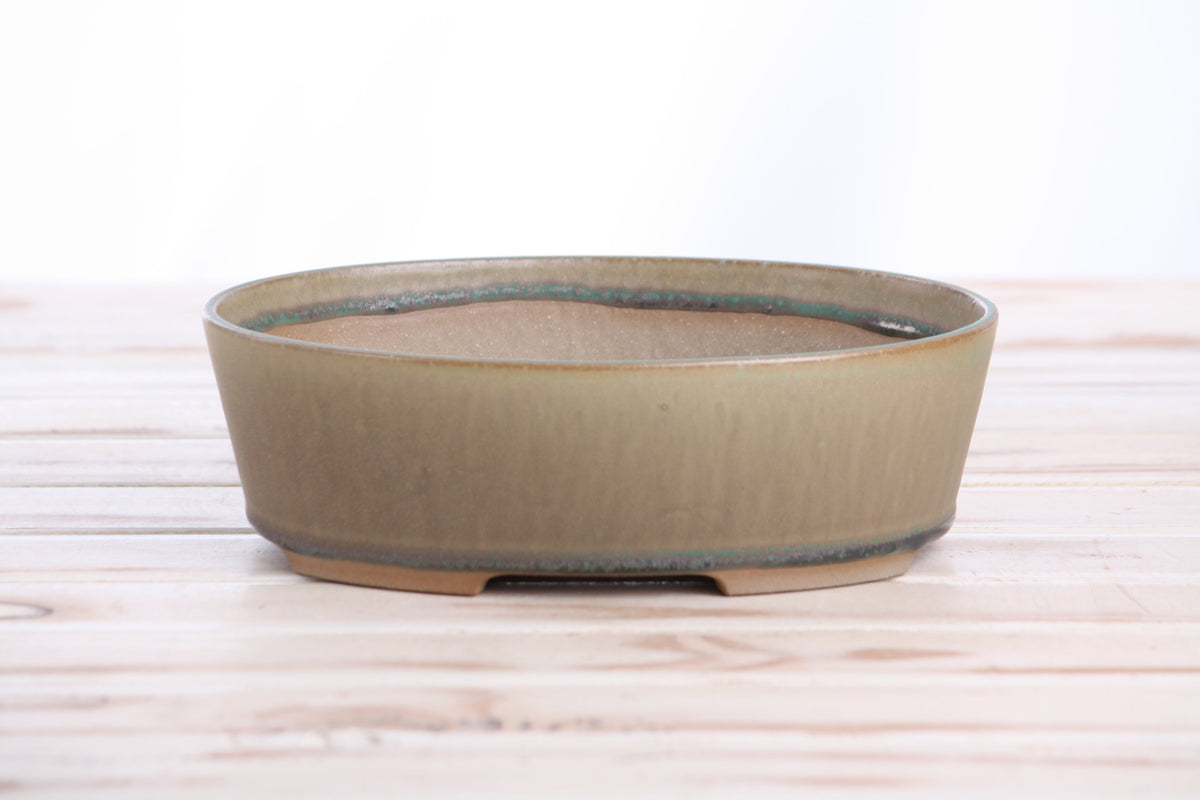 Oval ceramic bonsai pot 8 inch Speckled Moss — view 2