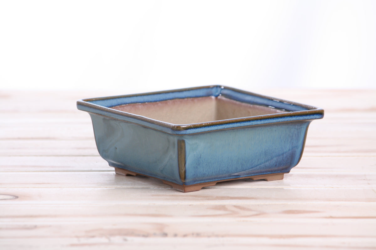 Square ceramic bonsai pot 5.5 inch Peacock 2025 — view 3